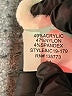Olivaceous Ivory Cardigan Size M - photo 8