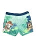 Nickelodeon 100% Polyester Green Board Shorts 9-12 MO / 12 MO - photo 1
