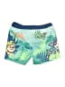 Nickelodeon 100% Polyester Green Board Shorts 9-12 MO / 12 MO - photo 2