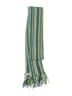 Echo Green Scarf One size - photo 2