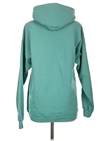 Hanes Pullover Hoodie (view 2)