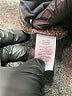 Talbots Blue Jeans Size 14 - photo 8