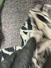 H&M Print Silver Black Casual Pants Size S - photo 5