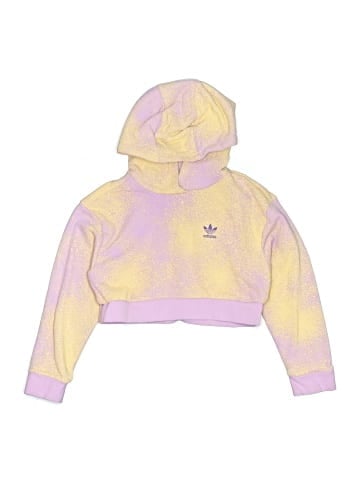 Adidas Pullover Hoodie (view 1)