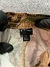 Art Class Camo Green Cargo Pants Size 16 - photo 3