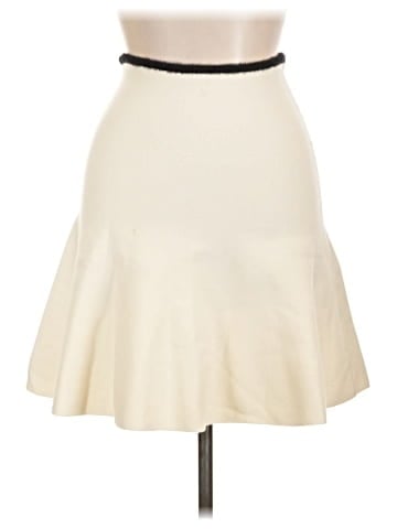 Zara Formal Skirt (view 1)