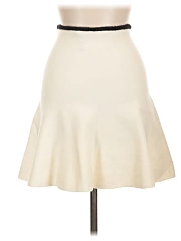 Zara Formal Skirt (view 2)