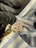 Shop 17 Stripes Blue Jumpsuit Size S - photo 5