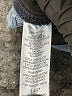Democracy Solid Blue Jeans Size 14 (petite) - photo 8
