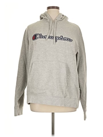 Champion Sweatshirt (view 1)