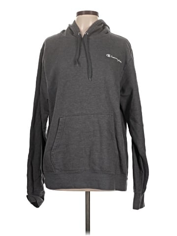 Champion Pullover Hoodie (view 1)