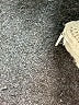 H&M Ivory Pullover Sweater Size L - photo 8