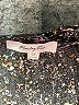 Monday Fun 100% Rayon Floral Black 3/4 Sleeve Blouse Size 3X - photo 7