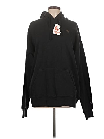 Champion Pullover Hoodie (view 1)