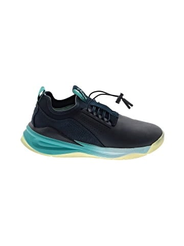 Clove Sneakers (view 1)
