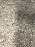 Lululemon Athletica Gray Pullover Sweater Size 16 (estimated) - photo 7
