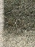 Mudd Hearts Blue Jeans Size 7 - photo 8