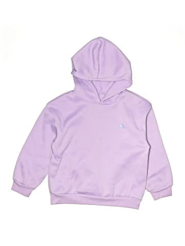 Adidas Pullover Hoodie (view 1)