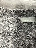 Vince. Tweed Gray Pullover Sweater Size M - photo 7