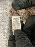 Ann Taylor LOFT Brown Pullover Sweater Size XS - photo 8