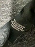 Assorted Brands Plaid Black Blazer Size S - photo 7