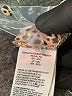 Amazon Essentials Animal Print Tan Cocktail Dress Size XXL - photo 8