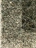Amadi 100% Cotton Gold Pullover Sweater Size XS - photo 10