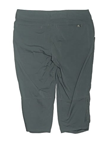 PrAna Shorts (view 2)