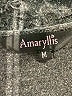 Amaryllis 100% Modal Gray Long Sleeve Top Size M - photo 7