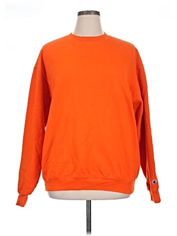 Champion Sweatshirt (view 1)