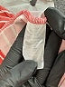 Btween Pink Dress Size 8 - photo 4