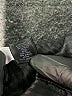 The Limited Black Blazer Size 6 - photo 7