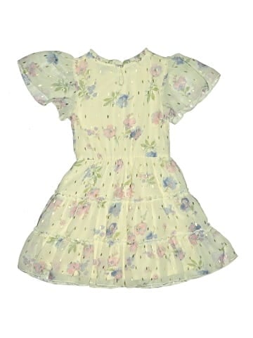 Zunie Dress (view 2)