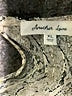 Another Love 100% Polyester Paisley Ivory Casual Dress Size XL - photo 7