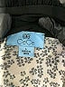 CeCe Animal Print Ivory Short Sleeve Blouse Size L - photo 7