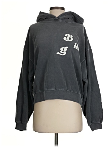 Anine Bing Pullover Hoodie (view 1)