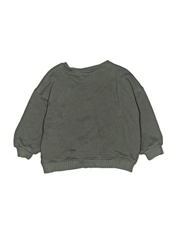 Zara Sweatshirt (view 2)