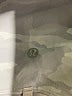Lululemon Athletica Silver Track Jacket Size 6 - photo 7