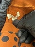 Madewell 100% Cotton Polka Dots Brown Pullover Sweater Size XS - photo 7
