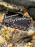 Assorted Brands Gray Blazer Size M (estimated) - photo 6