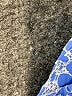 Ann Taylor LOFT 100% Cotton Print Blue Shorts Size 4 - photo 4