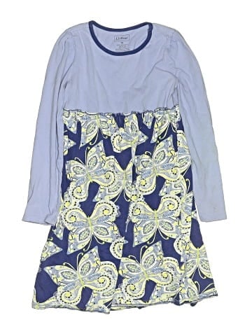 L.L.Bean Dress (view 1)