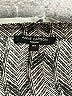 Anne Carson Gray 3/4 Sleeve Blouse Size 3X - photo 7