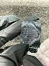 Generation Love Gray Long Sleeve Top Size S - photo 8