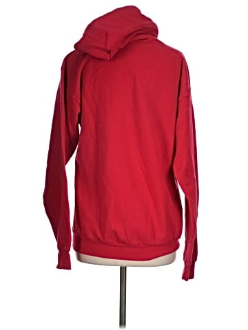 Hanes Pullover Hoodie (view 2)