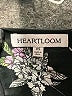 Heartloom 100% Polyester Black 3/4 Sleeve Blouse Size XS - photo 7