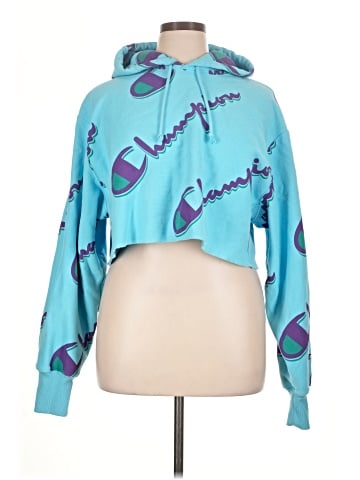 Champion Pullover Hoodie (view 1)