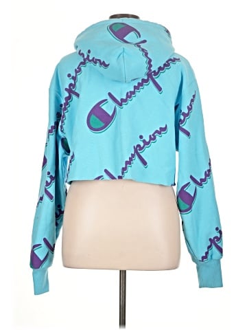 Champion Pullover Hoodie (view 2)