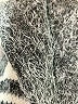 Red Camel Graphic Gray Pullover Sweater Size S - photo 7