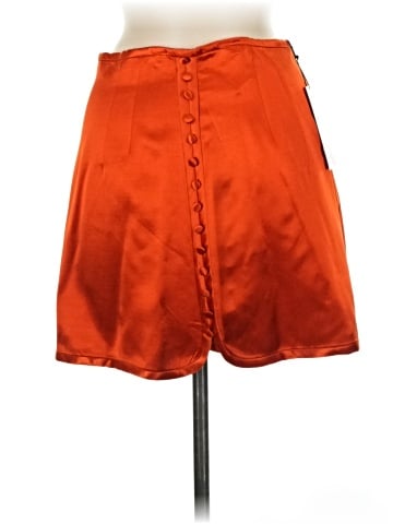 Zara Formal Skirt (view 2)